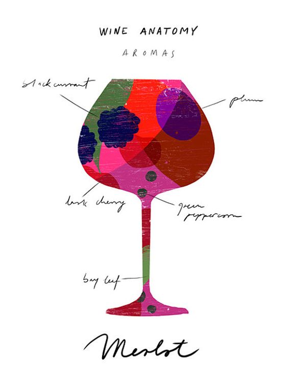 Anatomy, Wine art and Wine