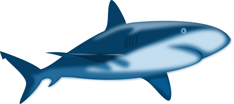 Free Shark Clipart | Free Download Clip Art | Free Clip Art | on ...