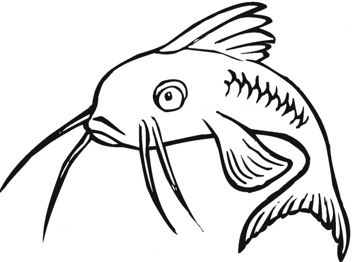 Catfish Tattoo Clipart - Cliparts and Others Art Inspiration