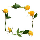 Yellow Rose Border Clip Art - Free Clipart Images