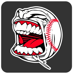 Havoc Screaming Baseball: KidFans | Personalized Car Window Decals ...