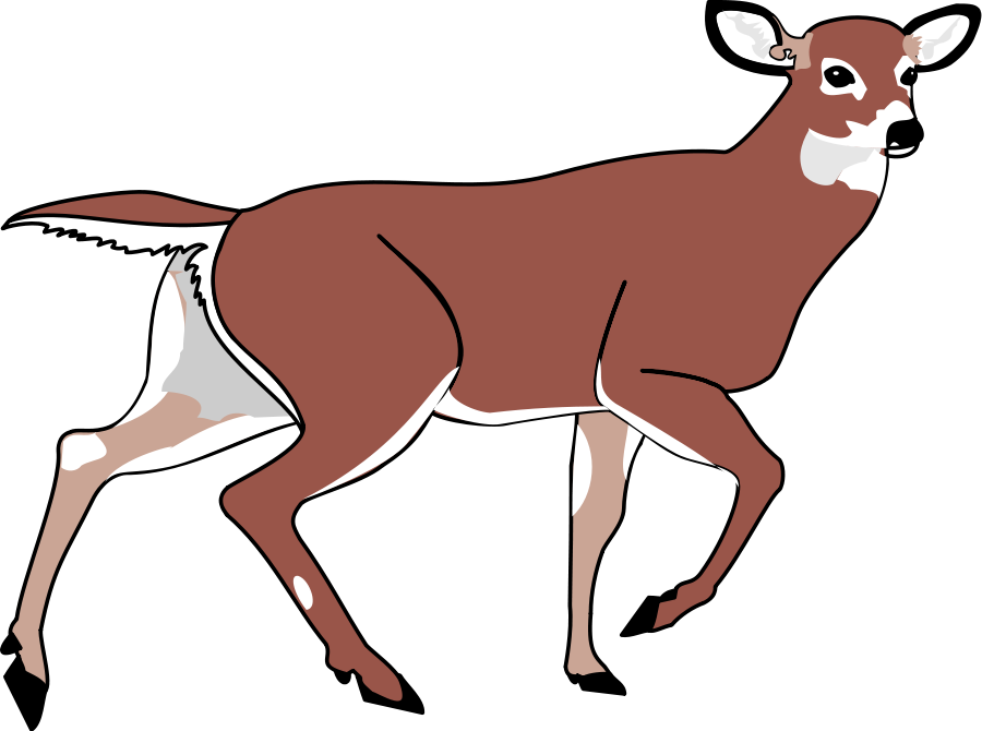 Deer Clip Art Silhouette - Free Clipart Images