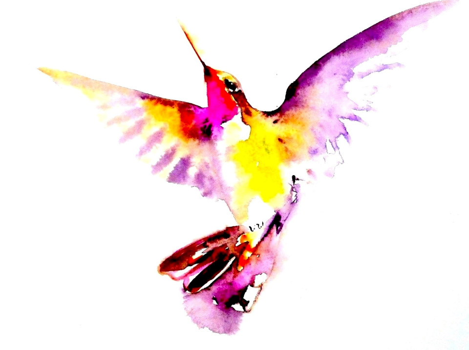 magical hummingbirds | My Life as an Artist (2)