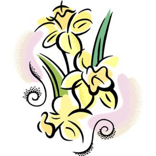 Daffodils Clipart | Free Download Clip Art | Free Clip Art | on ...