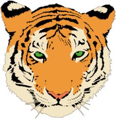 Tigers