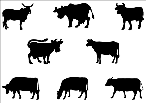 Black And White Cow Clipart