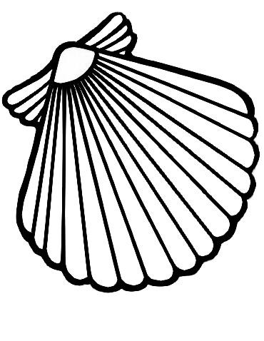 Best Photos of Scallop Coloring Page - Scallop Shell Coloring Page ...