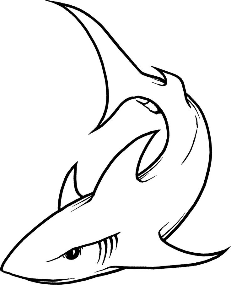 Hammer shark clipart clipart - Cliparting.com