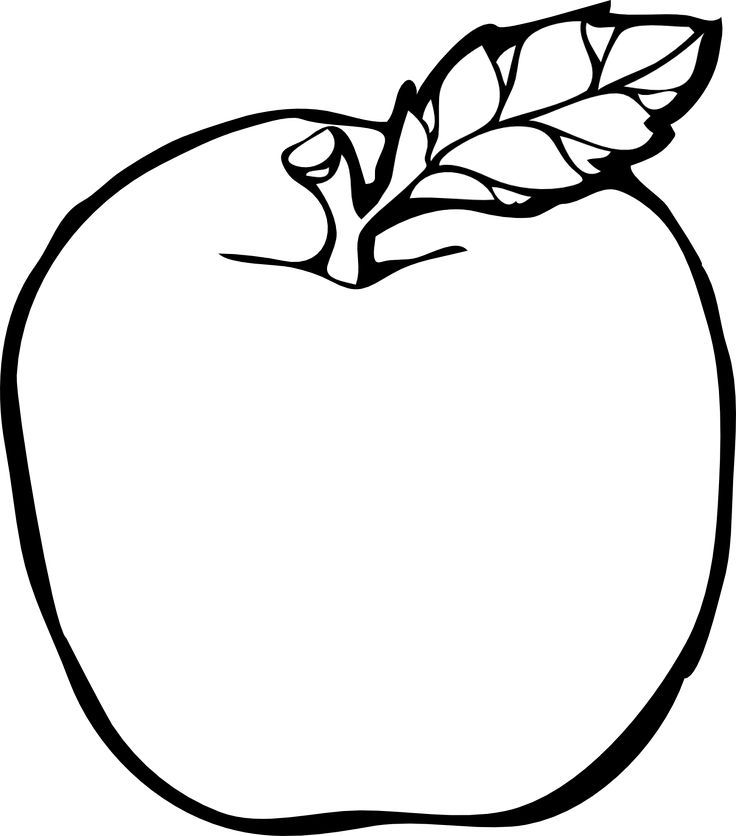 Owl teacher apple clipart black and white