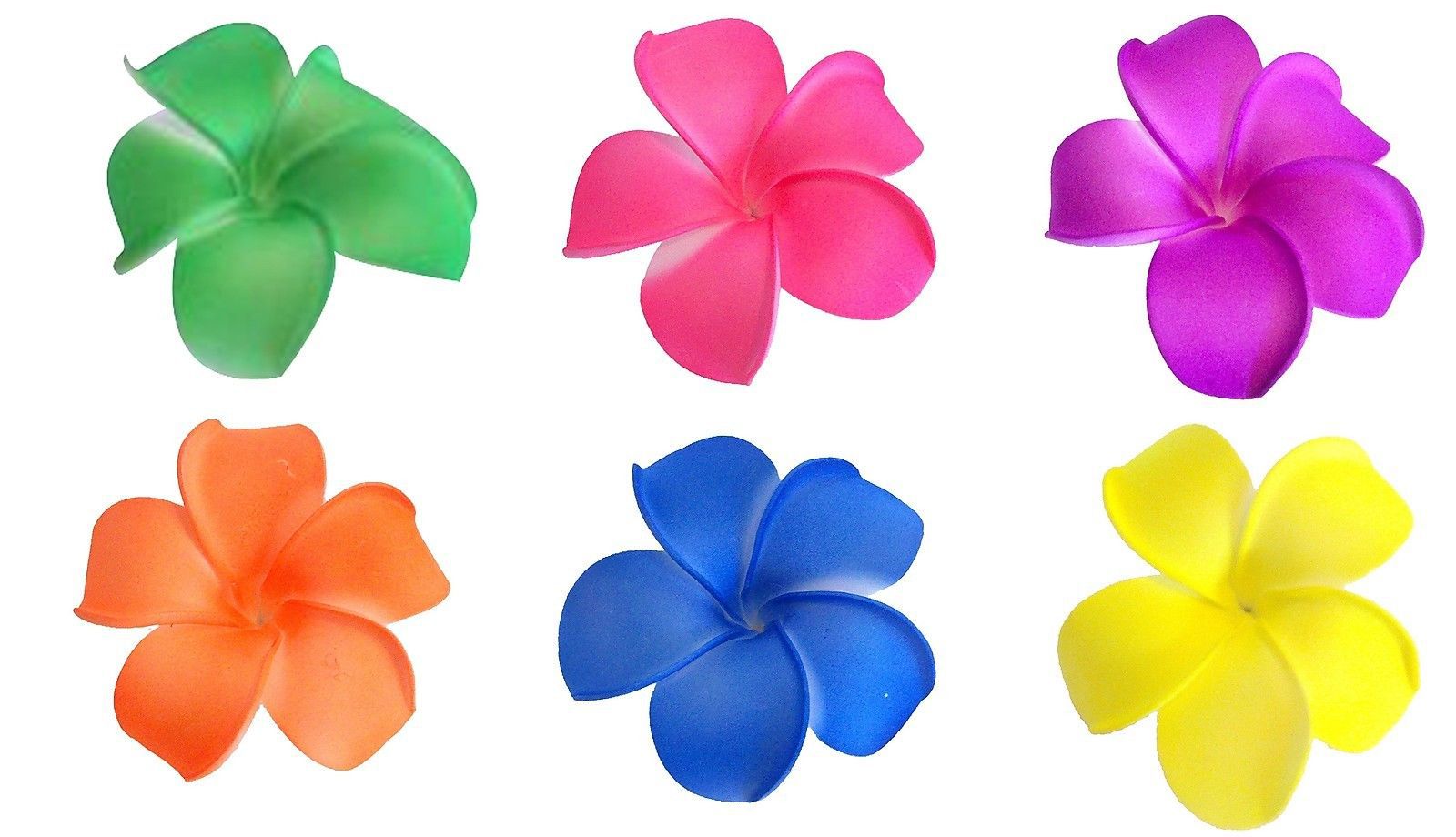 Plumeria Clipart