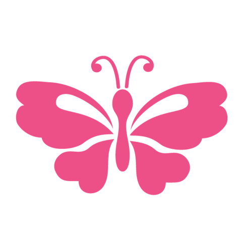 Butterfly and Insect Stencils, Stickers and Coordinating Home Decor