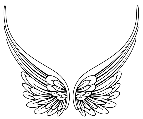 Line Drawing Wings - ClipArt Best