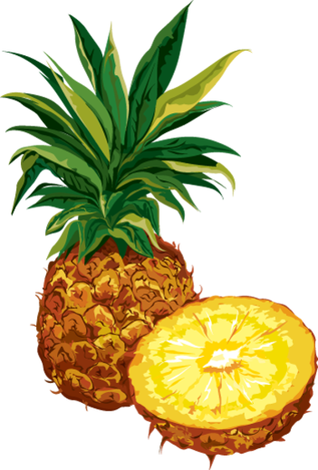 pineapple clipart - Vergilis Clipart