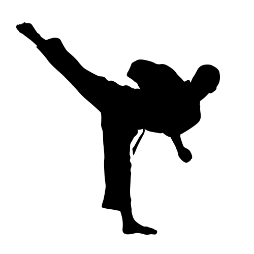 MARTIAL ART SILHOUETTES (Wall Decor) Decals