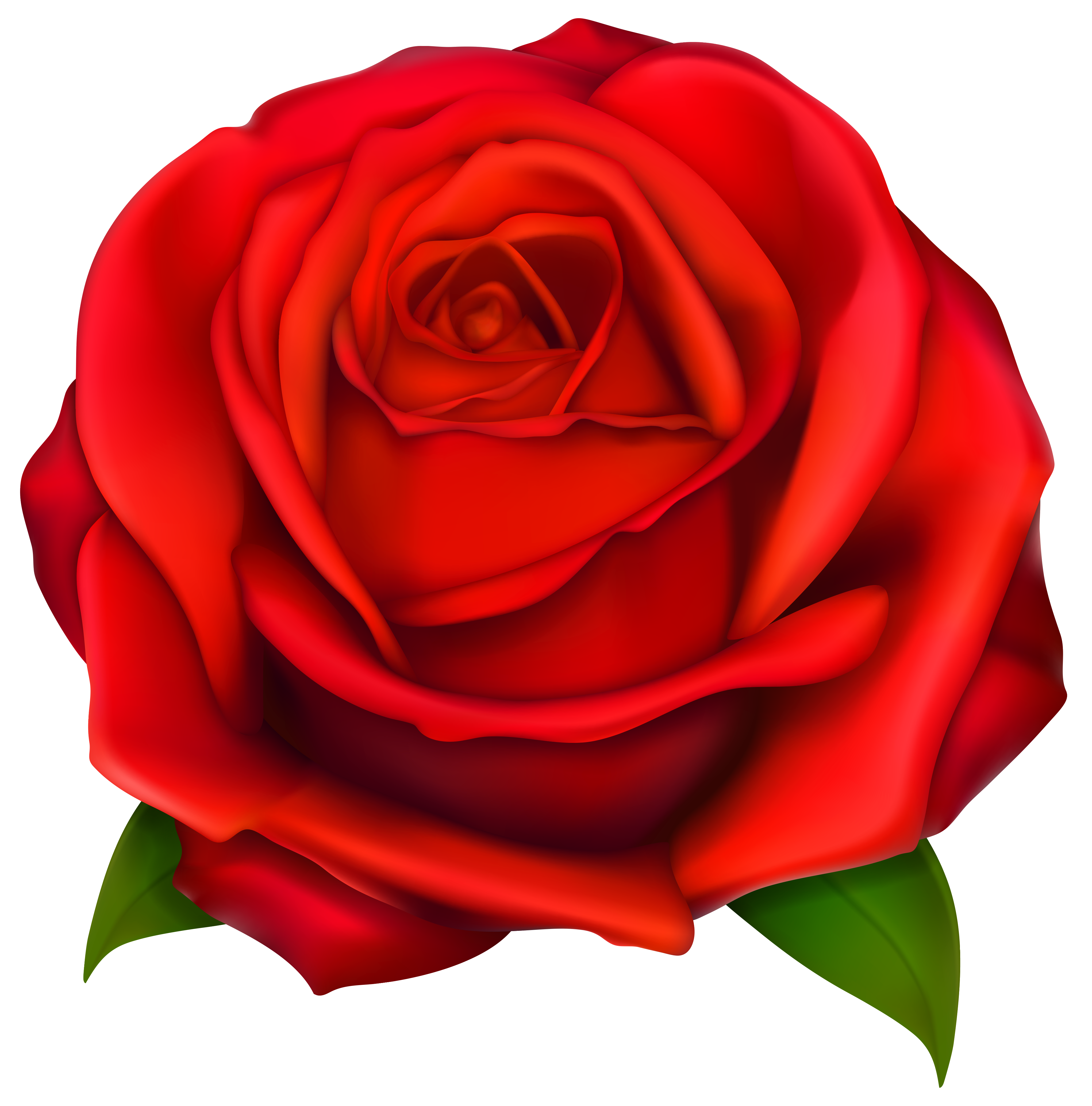 Images Of Rose - ClipArt Best