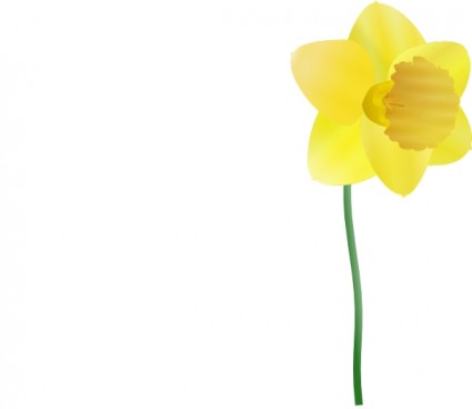 Daffodil Outline | Free Download Clip Art | Free Clip Art | on ...