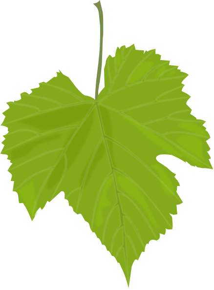 Grape Leaves Clipart