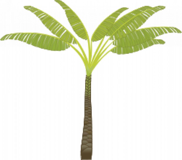 palm tree.svg | Download free Vector