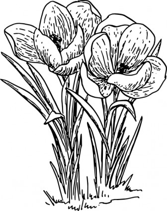 rose_flower_crocus_clip_art_ ...