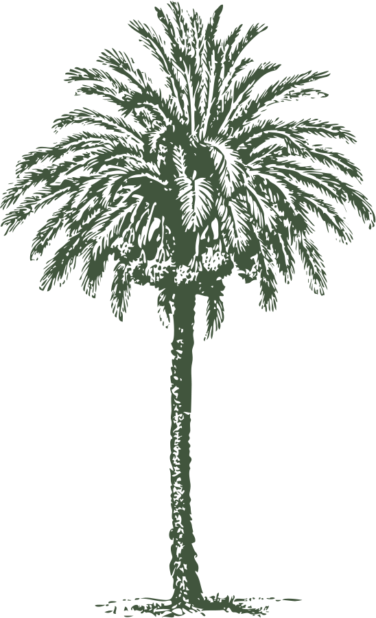 Date Palm SVG Vector file, vector clip art svg file