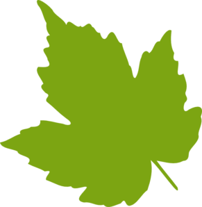 Light Green Leaf clip art - vector clip art online, royalty free ...