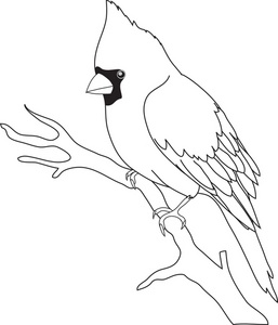 Cardinal Clipart Image - Black and white bird outline showing a ...