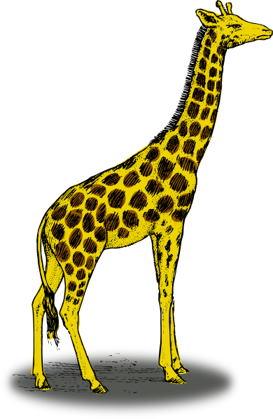 Giraffe SVG Downloads - Animal - Download vector clip art online