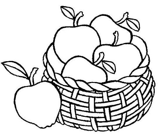 Basket of Apples Coloring Page