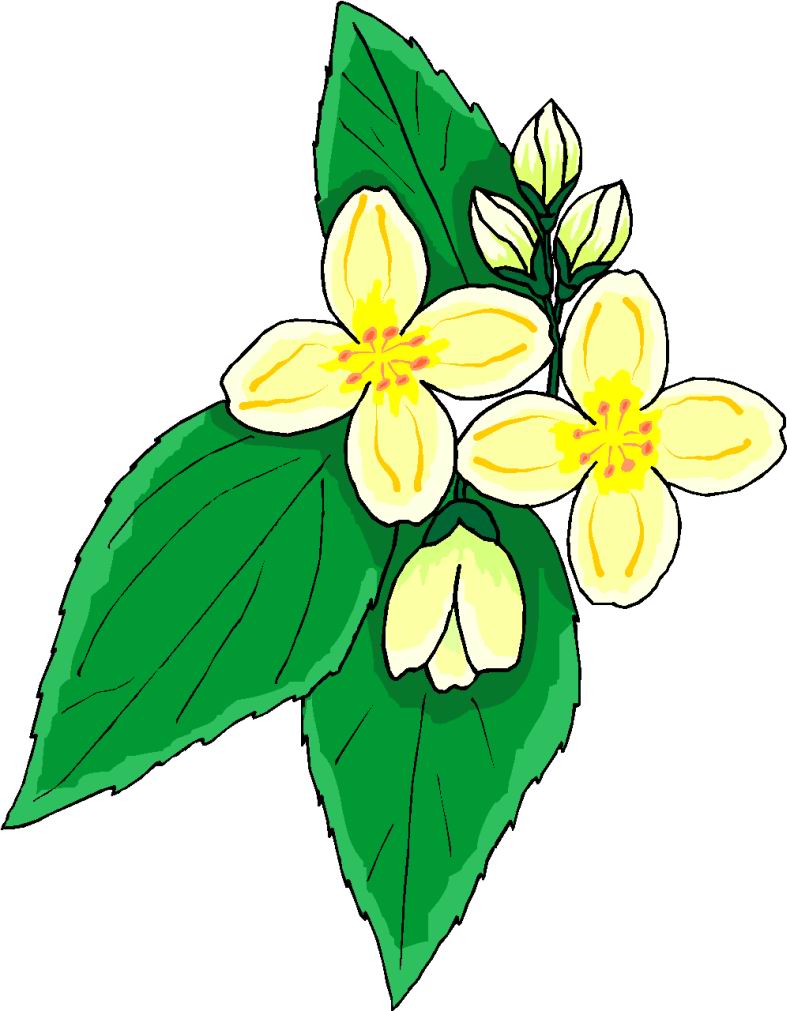 Easter Flower Clipart