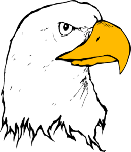 Eagle 22 Clip Art - vector clip art online, royalty ...