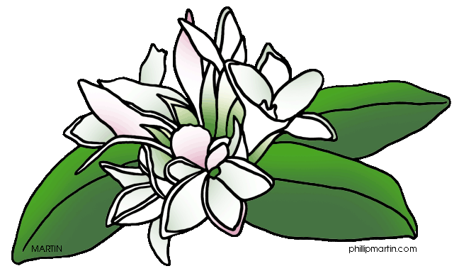 Mayflower Flower Clipart