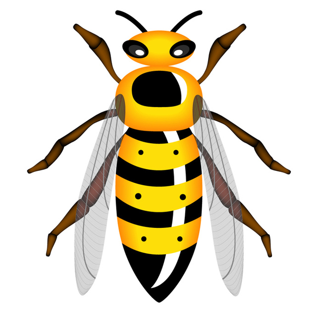 Vector Wasp - Vector download