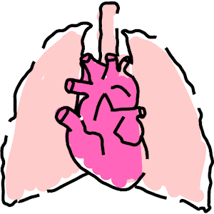 Lungs Clipart | Free Download Clip Art | Free Clip Art | on ...