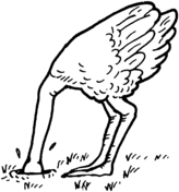 Ostrich coloring pages | Free Coloring Pages