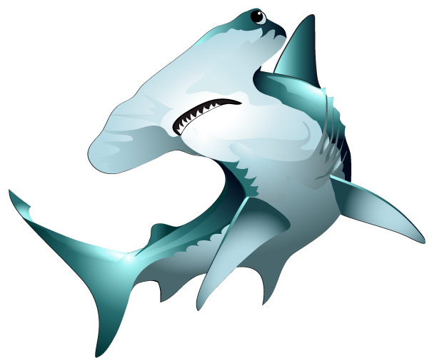 Hammer Shark Clipart - ClipArt Best