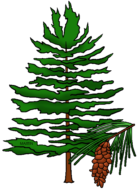 Arkansas tree background clipart