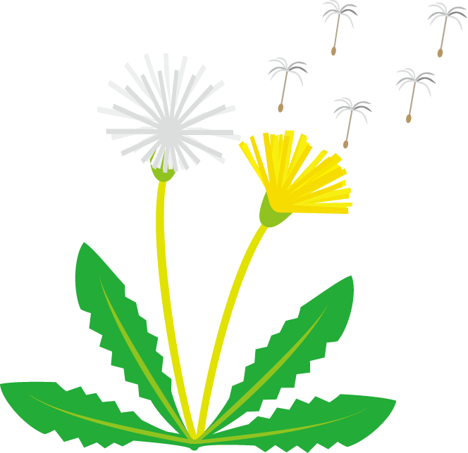 Dandelion Flower Gif Clipart - ClipArt Best