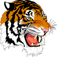 Tigers head clipart