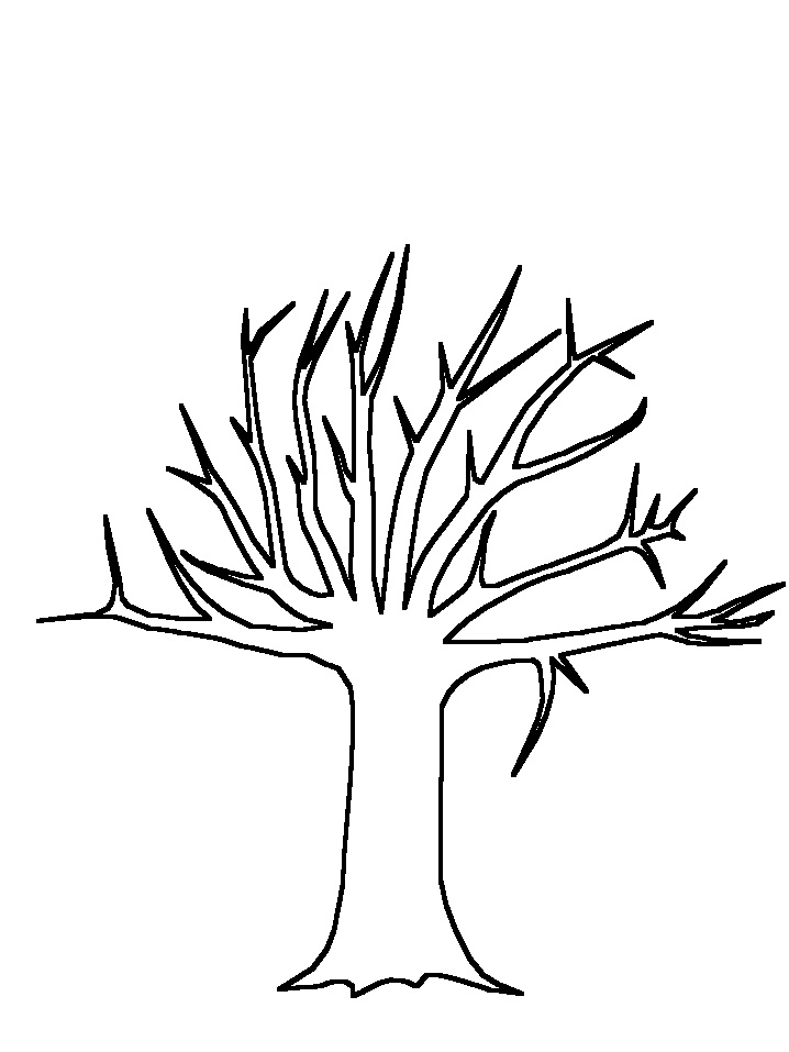 Outline Of A Tree - AZ Coloring Pages