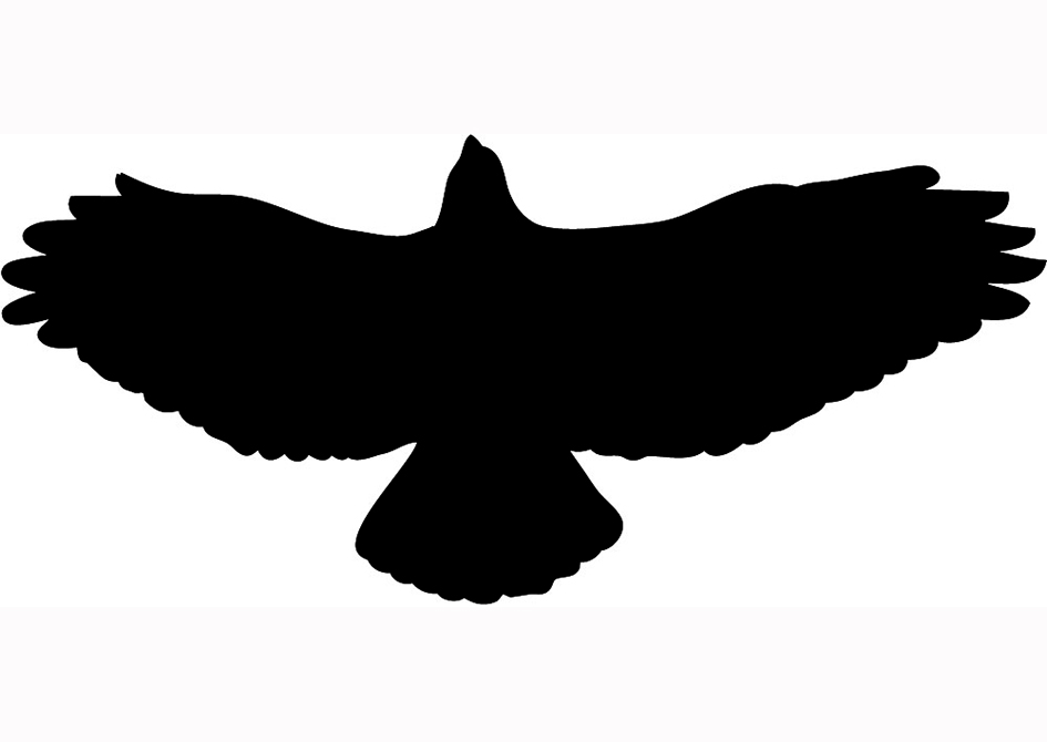 Bird Silhouette Clip Art