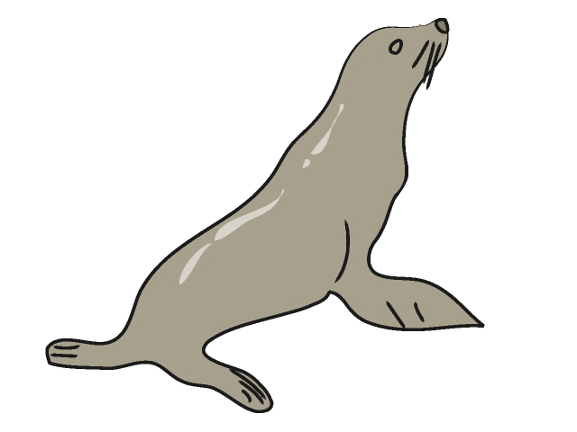 Sea Lion Clip Art