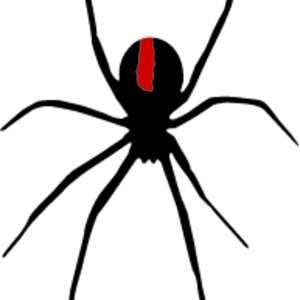 Spider - Black Widow Red Back vector | FreeVectors.net