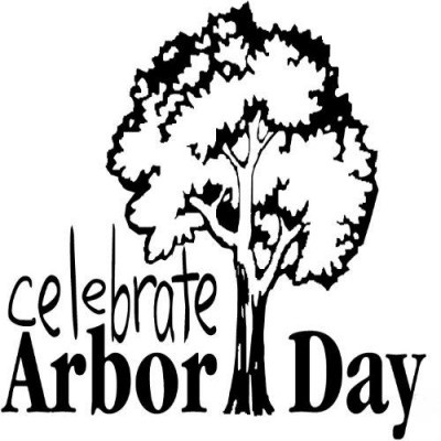 1000+ images about Arbor Day. Plant a Tree!