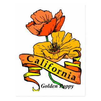 California Poppy Cards | Zazzle