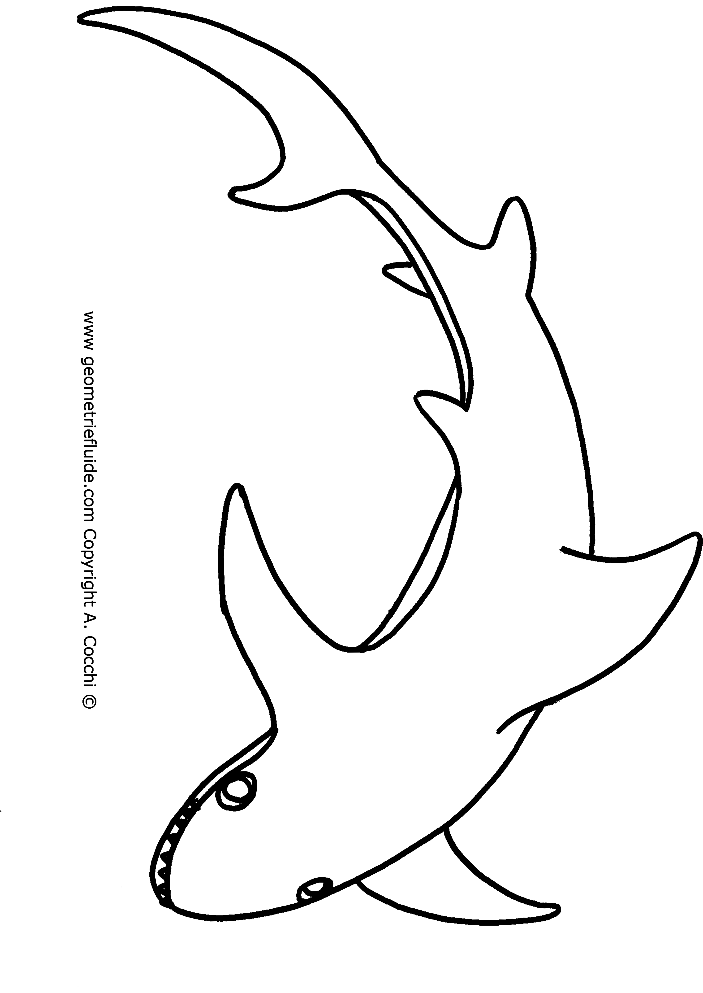 DESSIN Ã? IMPRIMER: :prefix Bebe Requin