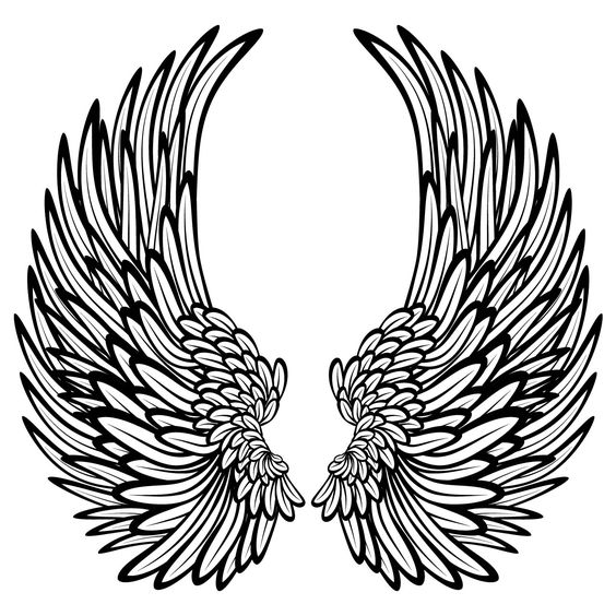 Wings, Google and Drawings