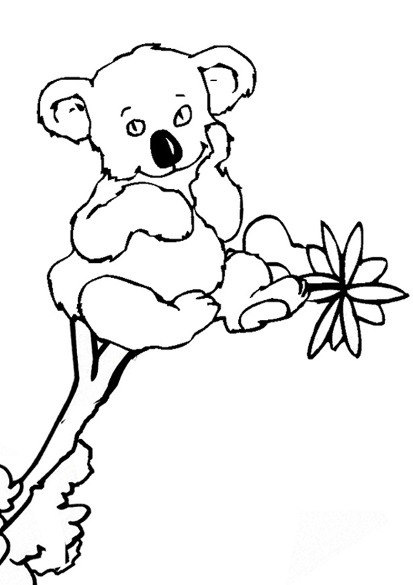 Free Printable Koala Coloring Pages For Kids