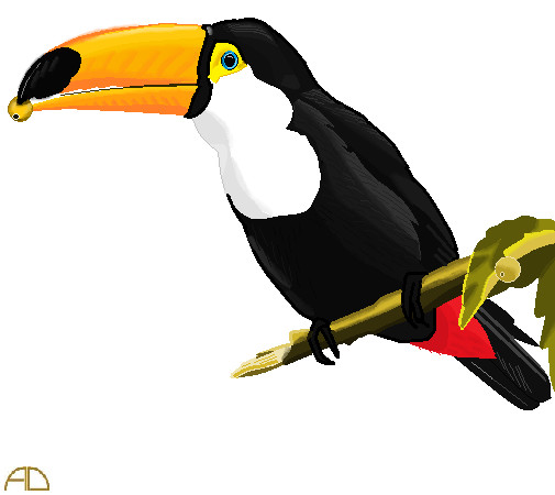 Toucan Drawing On Ms Paint by SeleOfficialART on DeviantArt