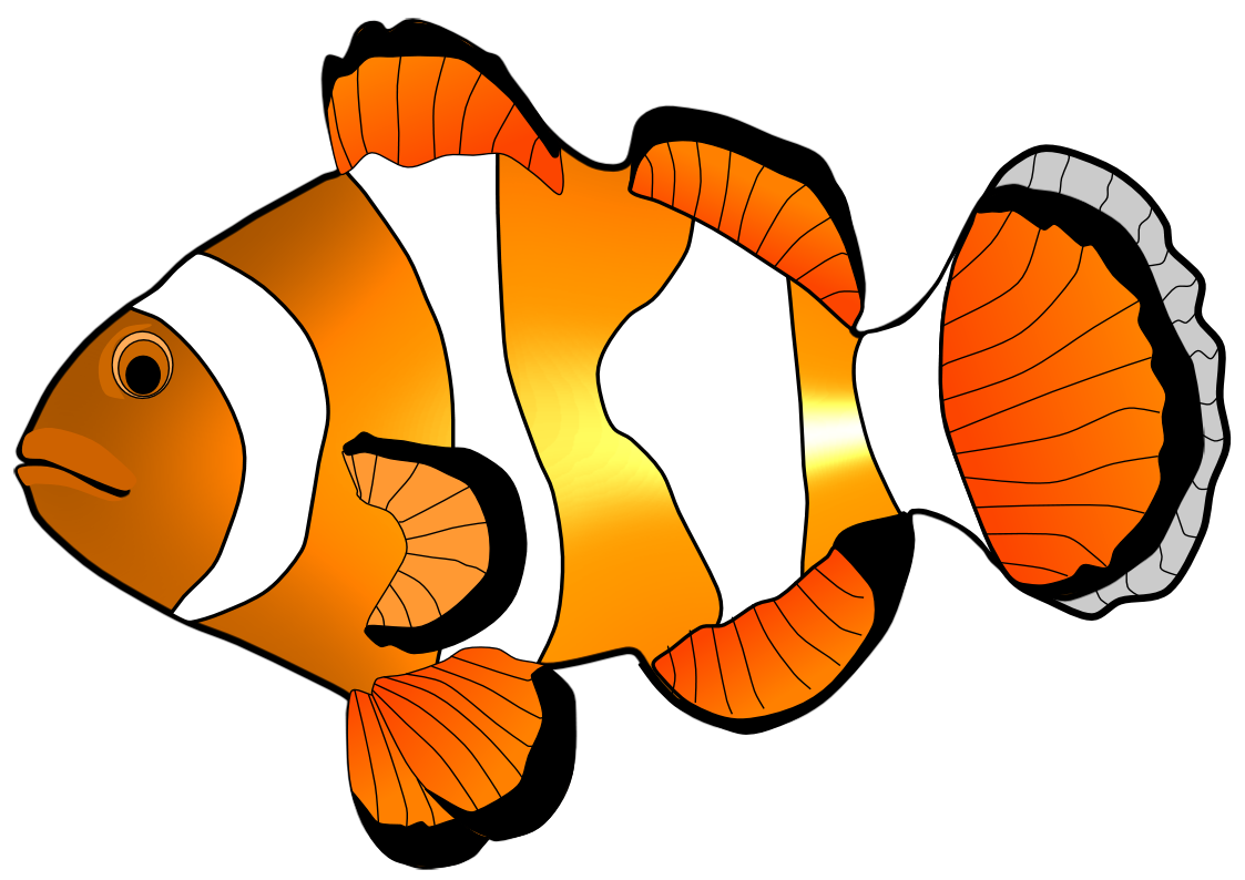 Clown fish illustration danaamab top clipart - Cliparting.com