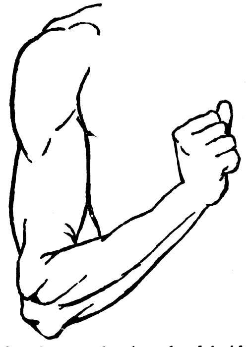 Cartoon Picture Of Arm - ClipArt Best